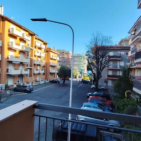 Tulipano Giallo A Pochi Passi Dal Mare San Bartolomeo Al Mare