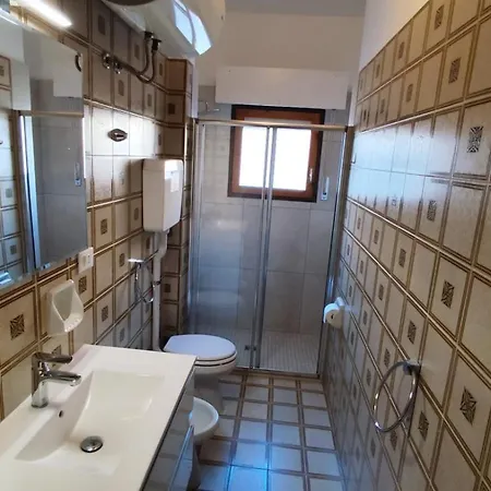 Tulipano Giallo A Pochi Passi Dal Mare * San Bartolomeo Al Mare