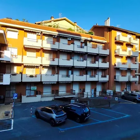 Tulipano Giallo A Pochi Passi Dal Mare